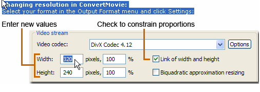 Movavi Video Converter  