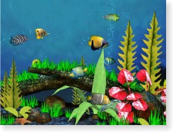 3D Fish Aquarium Screensaver