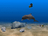 Dolphin Aqua Life 3D Screensaver