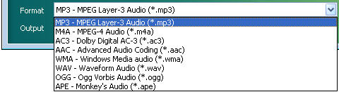 Output foramt