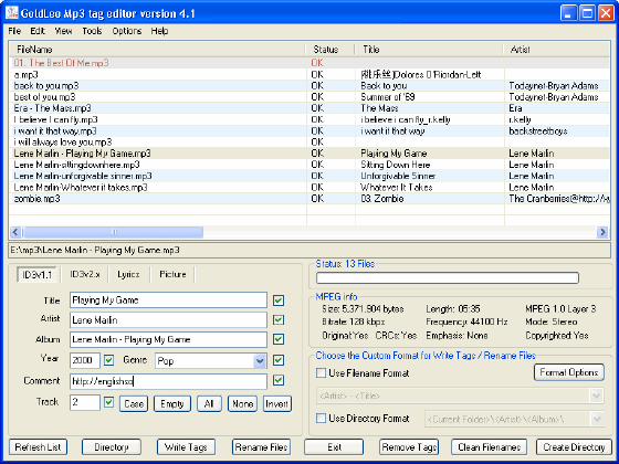 screenshot of GoldLeo MP3 Tag Editor