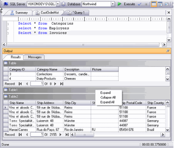 The Screenshot of YukonDev SQL editor