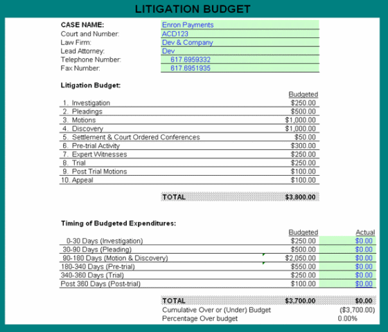 Litigation Budget Screenshot