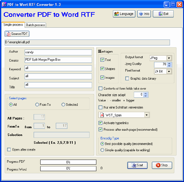 Single process - PDF to Word RTF Converter