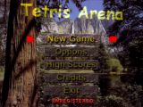 Main window of Tetris Arena