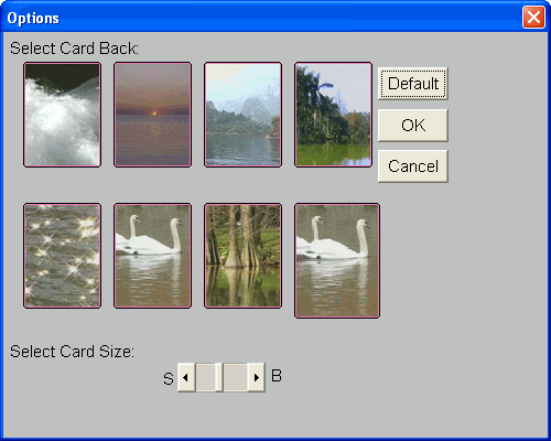 Option window of Pyramid