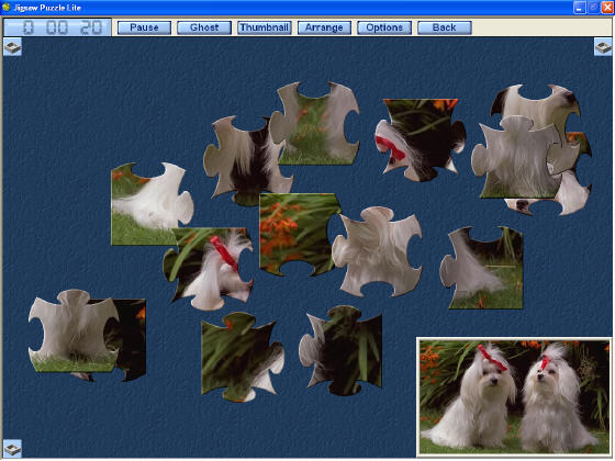 Game Screenshot of Jigsaw Puzzle Lite