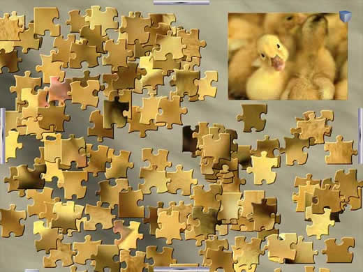 X-plosive Jigsaw Puzzles Pro - screenshot