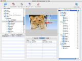 Sothink SWF Decompiler for Mac