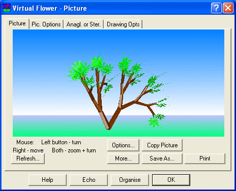The Screenshot of Virtual Flower