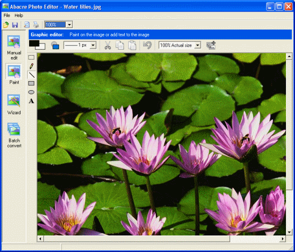 Screenshot - Paint