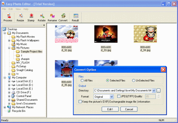 Screenshot - Convert Option