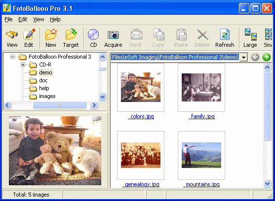 screenshot of FotoBalloon Pro - Main information