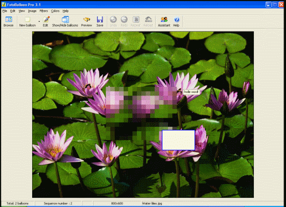 screenshot of FotoBalloon Pro - Edit