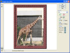 Image Frame