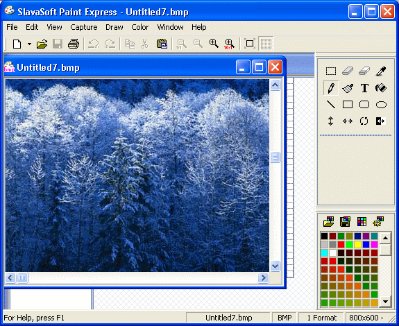 screenshot of Paint Express - Main information