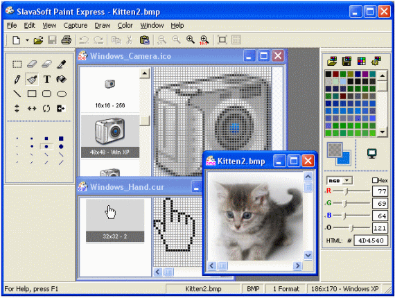 screenshot of Paint Express - Brush