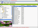 The Screenshot of Real GIF Optimizer