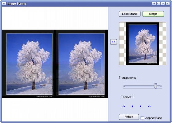 My Photo Album Edit