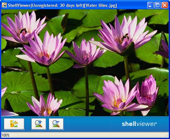 ShellViewer - view image