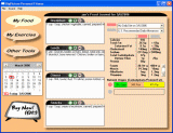 Screenshot of BigPicture Personal Fitness