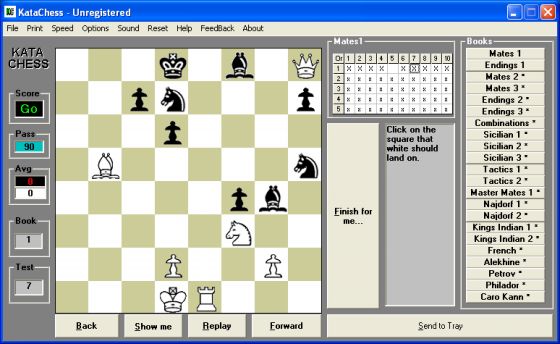 The Screenshot of Kata Chess