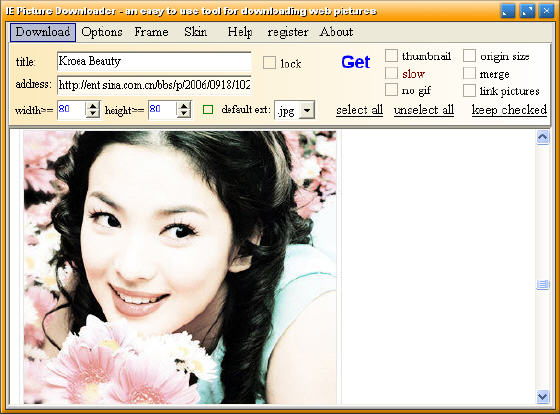 ie picture downloader