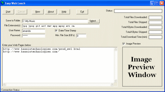 screenshot of Easy Web Leech - Main information