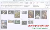 ie picture downloader