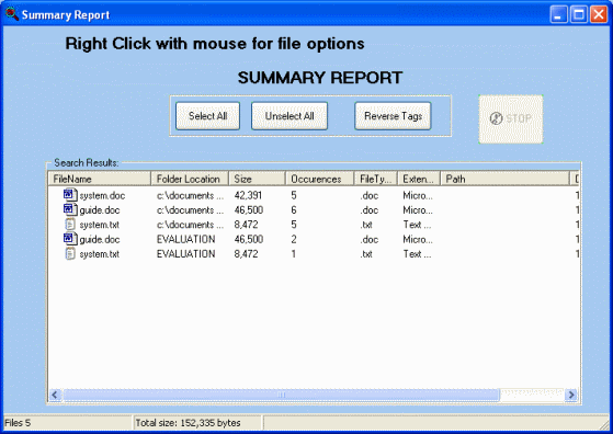 summary report