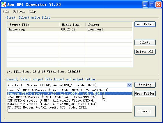 format of Amo MP4 Converter