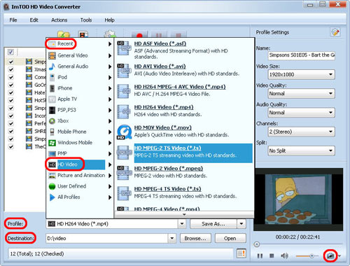ImTOO HD Video Converter - guide & faqs