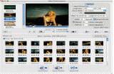 Screenshots of Video Frame Capture for Mac 