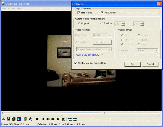 The Screenshot of Quick AVI Splitter