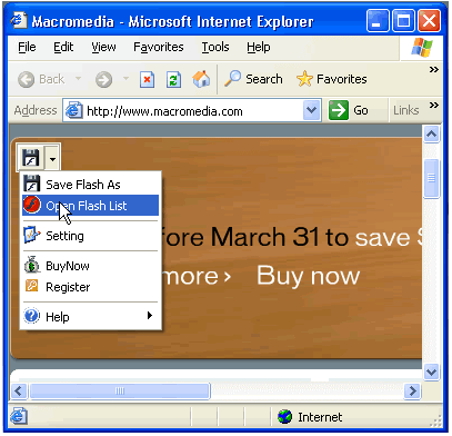 Screenshot - Saving multiple Flash files in a web