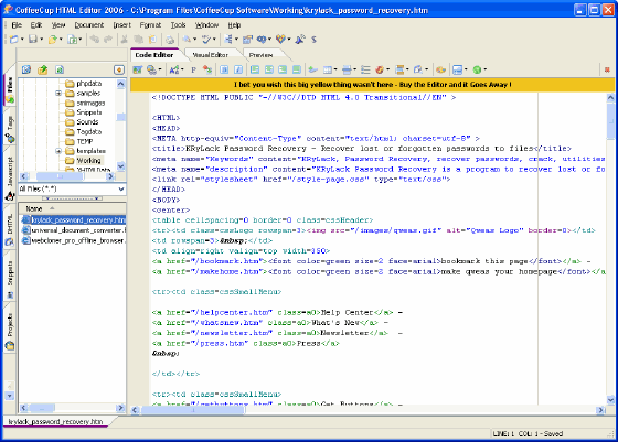 The Screenshot of CoffeeCup HTML Editor