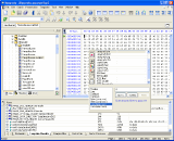 Main window - Hexprobe Hex Editor