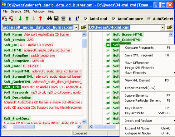 The Screenshot of ExamXML.