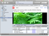 Elmedia Player for Mac Pro