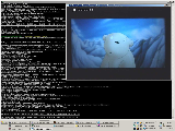 MPlayer