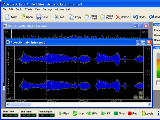 Acoustic Labs Audio Editor