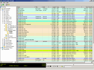 Toolsoft Audio Manager