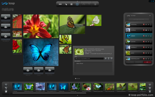 Loop Interactive Portfolio