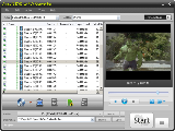 Ainsoft DVD to FLV Converter