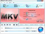 Bigasoft MKV Converter