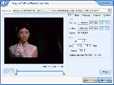 Moyea DVD to Flash Converter