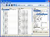 Spellasoft DVD Ripper Professional