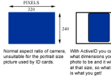 ActiveID ActiveX OCX