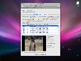 DVDRemaster for Mac