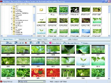 Photo to Video Converter Professional